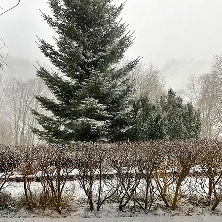 Kleine Bergzeit 圣安德里斯伯格